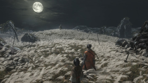 9325-sekiro-shadows-die-twice-3