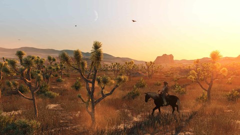 9533-red-dead-redemption-4